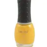 Sophia Asley Nail Diva Matte Nail Polish - Shade 29