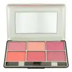 Sophia Asley Studio Secrets Professional 6 Blushers - 3