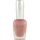 Sophia Asley Nail Lacquer With Hardner - Shade 18