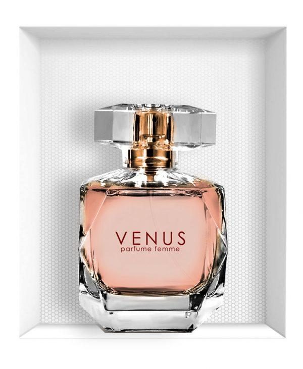 venus perfume price