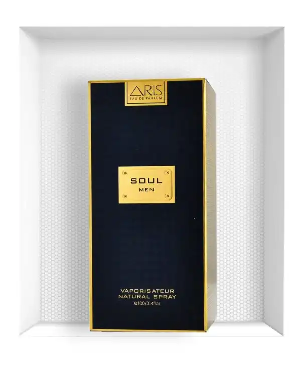 Aris Soul Eau De Parfum For Men - 100 Ml