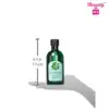 The Body Shop Fuji Green Tea Refreshingly Purifying Shampoo 13.5 Fl Oz 3 Beauty Box