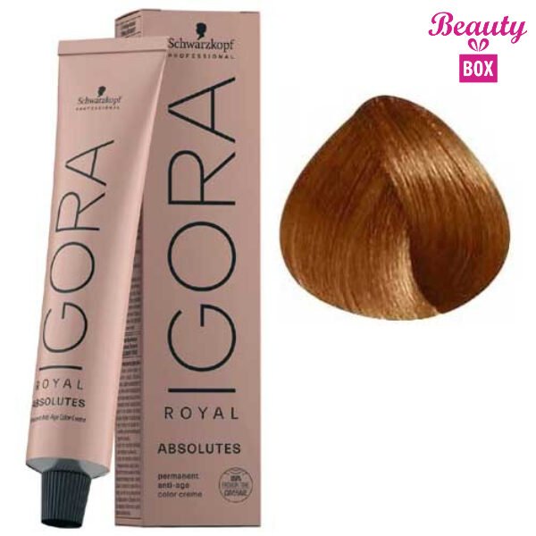 igora-royal-absolute-blond-moyen-cuivre-naturel-7-70-60ml (1)