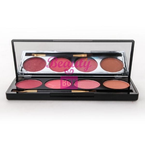 Pro Blusher 4in1 Palette No 4