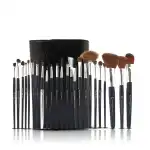 Color Institute 24 Piece Leather Brushset