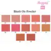 blush on powder shade card 1 Beauty Box