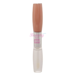 Rivaj UK Quick Dry Lip gloss - Shade 19