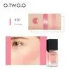 O TWO O Makeup Liquid Blusher Sleek Silky Paleta De Blush Color Lasts Long 4 Color.jpg 600x600 2 Beauty Box