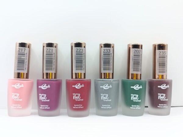 Christine Matte Nail Enamel Pack of 6 Multi Colors (Matte Nail Polishes)