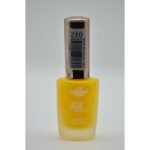 Christine Matte Nail Enamel Shade-210