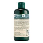 The Body Shop Conditioner Ginger - 400 Ml