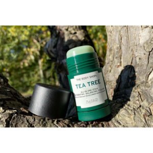 The Body Shop Tea Tree All In One Stick - 25 G