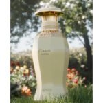 Afnan Kiaana Angel Edp 100ml